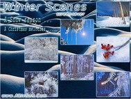 Winter Scenes Screensaver screenshot